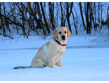 ���� ���� �� ��