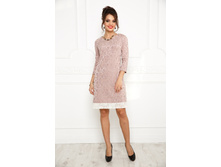 ������ 1650 ������