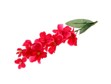 ����� ������������� "��������� ������� ���������"����� ������������� "��������� ������� ���������" �����; 65 ��; �������, ��������; � ����� 400 ��. ���.: 701713 39.00���.