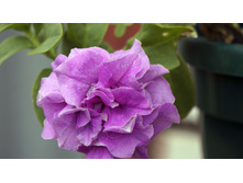 64 — �����.jpg