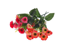 ����� "������ ���������" ��������� "������ ���������" ���� �����; 30 ��; �������, ��������; � ����� 1200 ��. ���.: 1274867 66.22���.