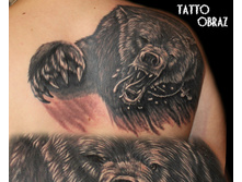 ���������� �� �������.���� �� �����.����� �������