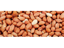 ������ ������� ���������