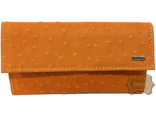 �-1� �� ������ ��������. ������� (751 ���) ���. ����.jpeg