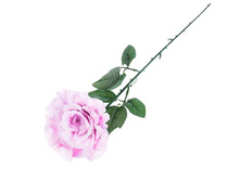 ������ ������������� "����" ��������� ����, ������������� ������������� "����" ��������� ����, ������� �����; 10 �� × 53 ��; �������, ��������; � ����� 600 ��. ���.: 1659286 39.05���.