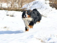 56eee28d21a57 dsc4135.jpg