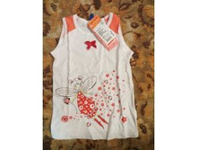 6771177.IMG 0038.jpg