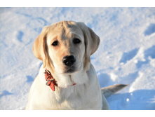 ���� ���� �� ��