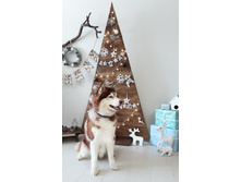 ����� -����- First Kiss Story