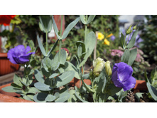 304 — �����.jpg