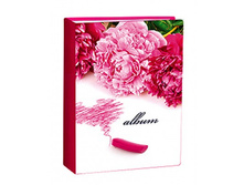 97���. ��� 68166 V ���������� 100 ����� 001 ����� ������ Image ART.jpg