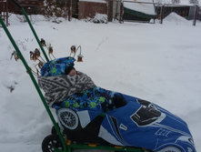 ����� ������� ����� 5 ��������� + �������� � ������� �� ������