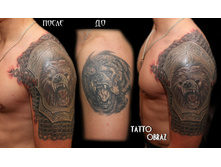 ���������� �� �����.����. ���� ,�������.��������� ������ ����,�������