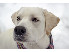 ����1 49.jpg