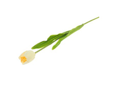 ������ ������������� "������� ������" ����������� ������������� "������� ������" ����� �����; 48 ��; �������, ��������; � ����� 288 ��. ���.: 1162533 40.50���.