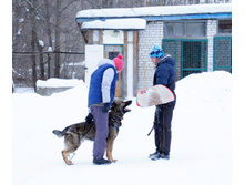 DSC04186.JPG