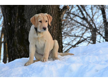 ������� �� ��