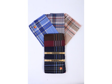 ������ ������� ���������� (����. 12��)