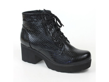 Item gallery 54228 558670.jpg