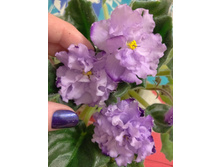 IMG 20170218 220931 AO HDR.jpg