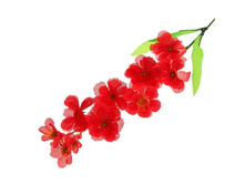 ����� ������������� "������� ������� ������"����� ������������� "������� ������� ������" �����; 70 ��; �������, ��������; � ����� 600 ��. ���.: 701721 35.92���.