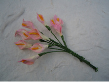 2-TONE PINK CALLA LILY