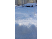 IMG 20161212 110441.jpg