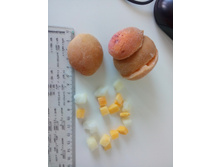 ��������, ����� � ������.jpg