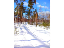 IMG 20170226 104838.jpg