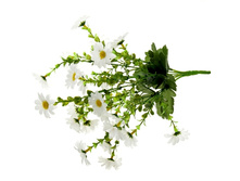 ����� "������� �������" ��������� "������� �������" ���� �����; 30 ��; �������; � ����� 800 ��. ���.: 716577 67.38 ���.