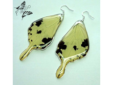 ��� ��, ������ �������