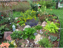 586ebb2618f84 img4475 (1).jpg