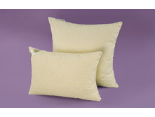 �o�y��� Fib�r��ll (�@��ep�o��)