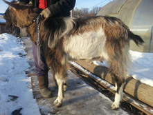 ������ ���� ������