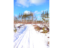 IMG 20170226 125246.jpg