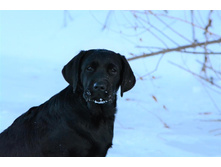 ���� ��� �� ��