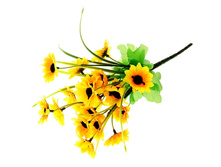 ����� "������ �������"����� "������ �������" �����; 30 ��; �������; � ����� 1200 ��. ���.: 649203 51.81���.