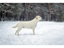 ����1 34.jpg