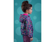 ������ 4079-3