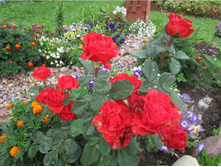 586eba68e283c img4466.jpg