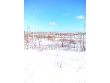 IMG 20170226 115323.jpg