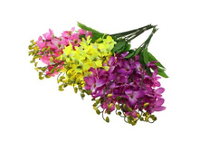 ����� ������������� "������� �������" ��������� ������������� "������� �������" ���� �����; 70 ��; �������, ��������; � ����� 1000 ��. ���.: 440454 32.86���