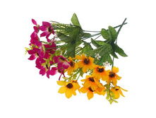 ����� "������ ������������" ��������� "������ ������������" ���� �����; 34 ��; �������, ��������; � ����� 800 ��. ���.: 1274868 64.90���.