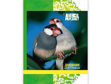 ������� ��� ������� ������� ACTION! ANIMAL PLANET, ������� ���������, ���.��-���, 7��1 46,69.jpg