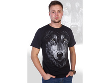 �������� ����.jpeg