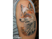 ���� �� �����.���������� ����.������