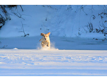 ������� �� ��