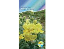 ������� ���, ���������� ������ ������ 13.00+%.jpg