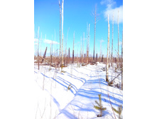 IMG 20170226 114440.jpg