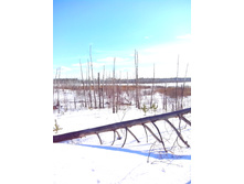 IMG 20170226 115338.jpg